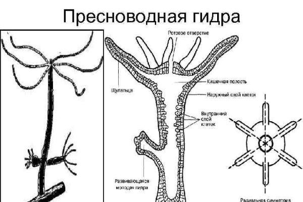 Kraken darknet официальный сайт