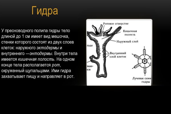 Кракен даркнет скачать