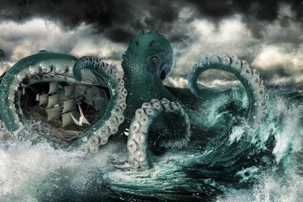 Kraken 13at